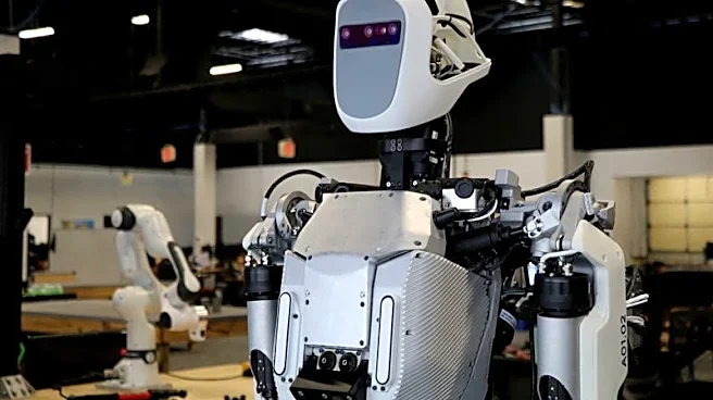 Visual for this record: Humanoid robot pilots in 2024 were announcements, not deployments