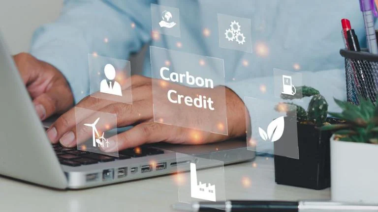 Visual for this record: A carbon credit standards body set a common bar in 2023